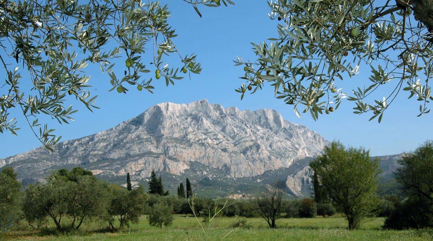 Syndicat AOP Huile d'olive Aix en Provence